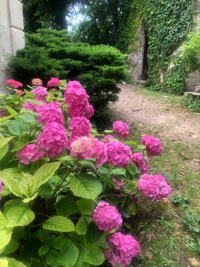 Bed and Breakfast Demeure Des Payratons Saint-Gerand-le-Puy Esterno foto